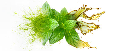 Revitalize Your Hair Growth with Peppermint Oil
